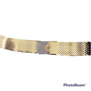 Vintage Gold & Silver Fish Scale Floral Buckle Elastic Belt